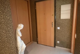 Zaragoza 248&nbsp;m²