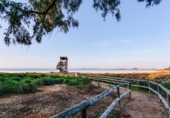 Chalet independiente con terreno en venta en la España, Rojales, ref: TR414168 foto
