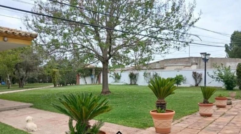 Córdoba - Encinarejo de Córdoba - 3300m2
