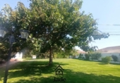 Земельный участок на продажу в городе Encinarejo de Córdoba Фото