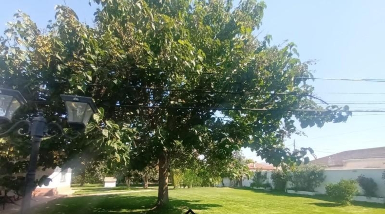 Córdoba - Encinarejo de Córdoba - 3300m2