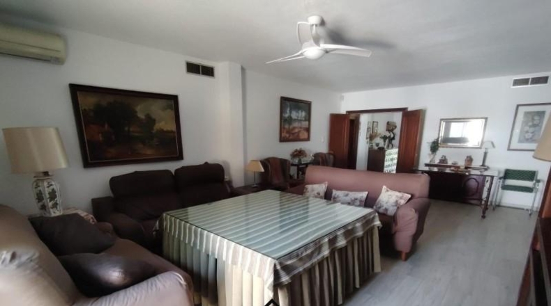 Córdoba - Encinarejo de Córdoba - 3300m2