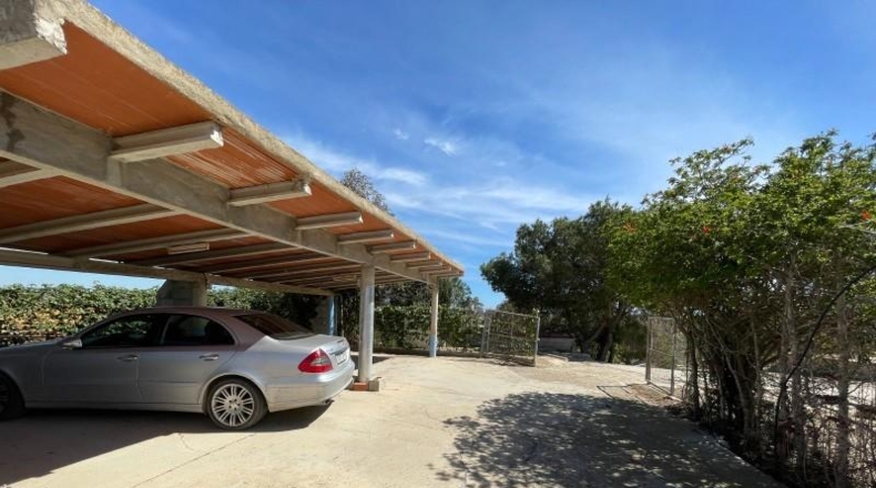 Alicante - Rojales - 10000m2