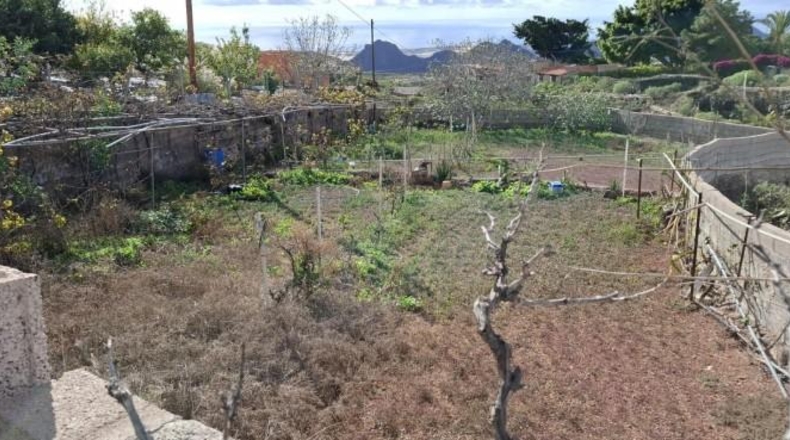 Santa Creu de Tenerife - Arona - 2000m2