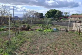 Arona 2000&nbsp;m²