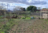 Casa de camp amb terreny en venda a la España, Arona, ref.: TR380242 foto