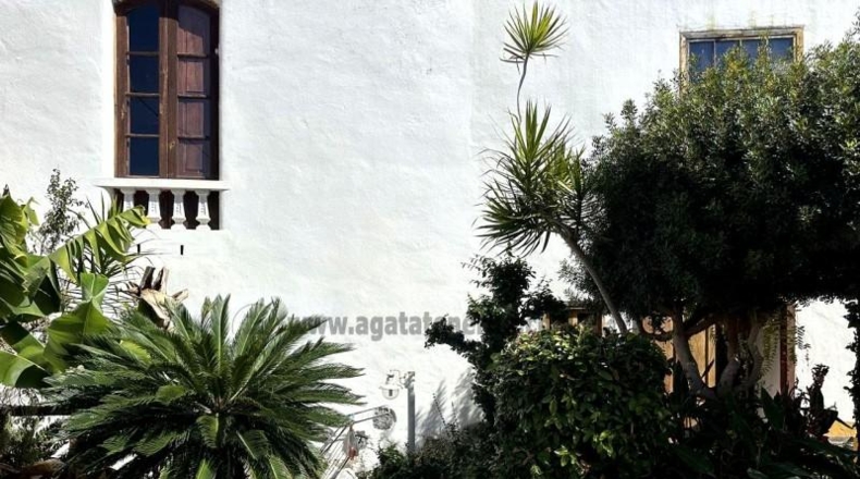 Santa Creu de Tenerife - Buenavista del Norte - 500m2