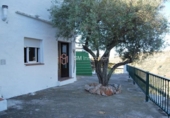 Detached villa with land for sale on España, Frigiliana, ref: TR151063 photo