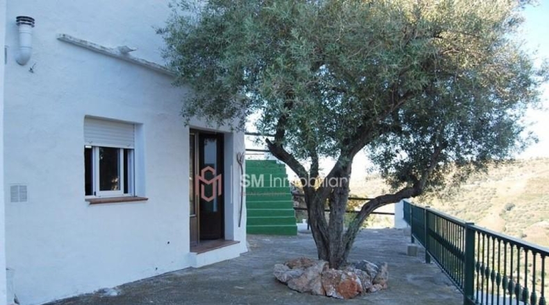 Málaga - Frigiliana - 11000m2