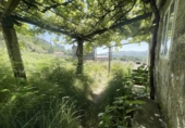 Village house for sale in Cotobade ref: TR414188 photo