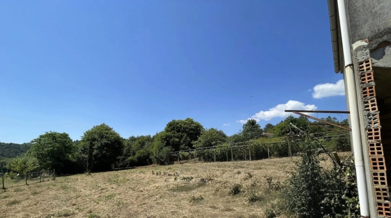 Orense - Boborás - 800m2