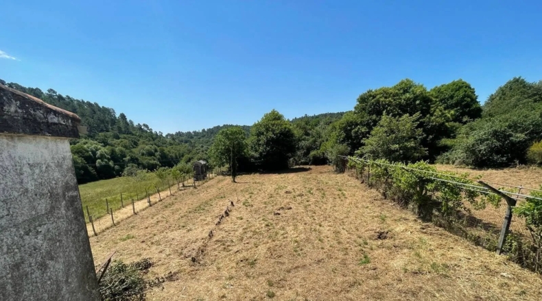 Orense - Boborás - 800m2