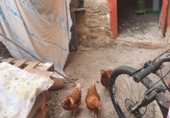 Village house for sale in Villalengua ref: TR414190 photo