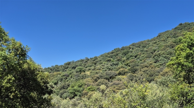 Málaga - Algatocín - 50000m2