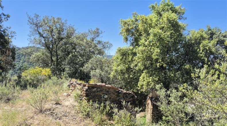 Málaga - Algatocín - 50000m2