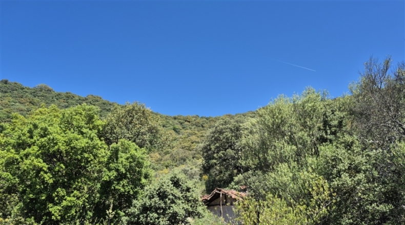 Málaga - Algatocín - 50000m2