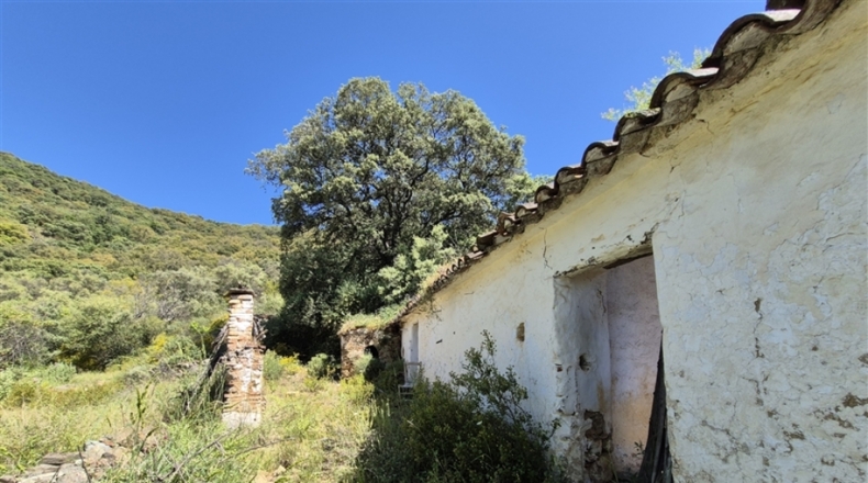 Málaga - Algatocín - 50000m2