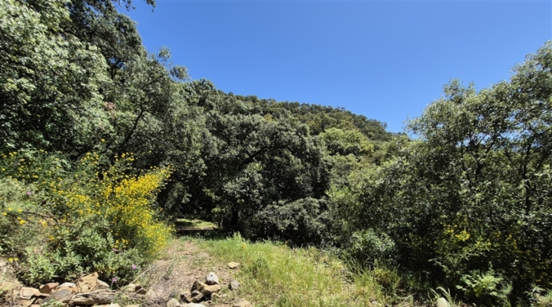 Málaga - Algatocín - 50000m2