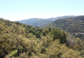 Masia amb terreny en venda a Atajate ref.: TR305294 foto