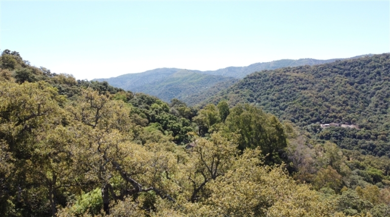 Málaga - Algatocín - 50000m2