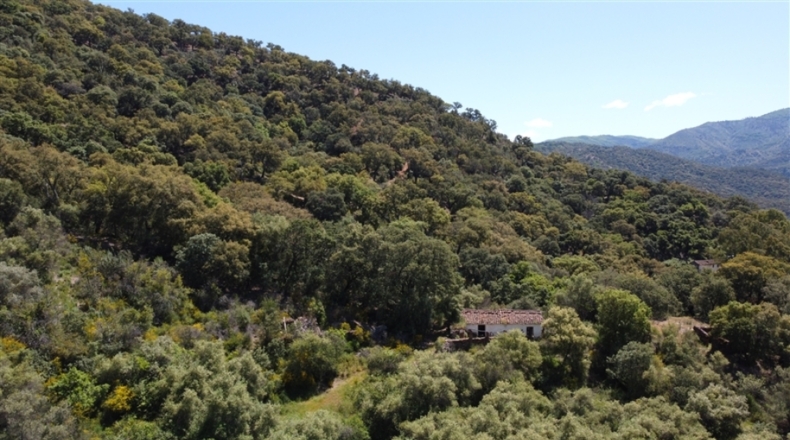 Málaga - Algatocín - 50000m2