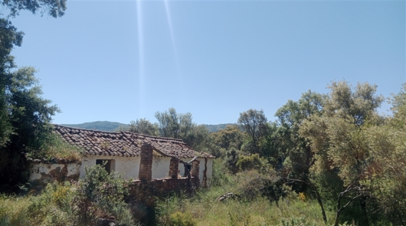 Málaga - Algatocín - 50000m2