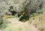 Masia amb terreny en venda a Atajate ref.: TR305294 foto