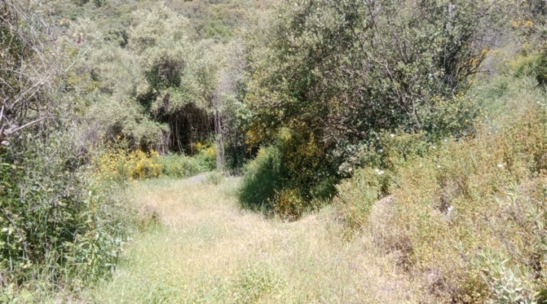 Málaga - Algatocín - 50000m2