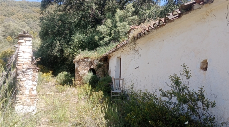 Málaga - Algatocín - 50000m2