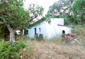Masia amb terreny en venda a la Camino del rio, Cortes de la Frontera, ref.: TR188969 foto