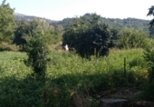 Masia amb terreny en venda a la Camino del rio, Cortes de la Frontera, ref.: TR188969 foto