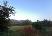Masia amb terreny en venda a la Camino del rio, Cortes de la Frontera, ref.: TR188969 foto