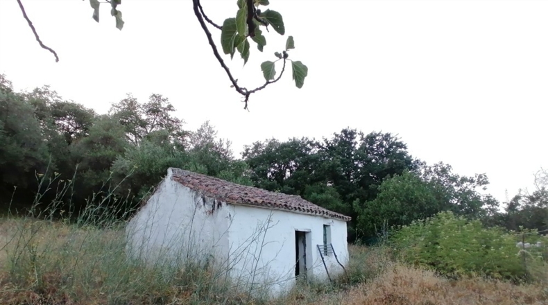 Málaga - Cortes de la Frontera - 12000m2
