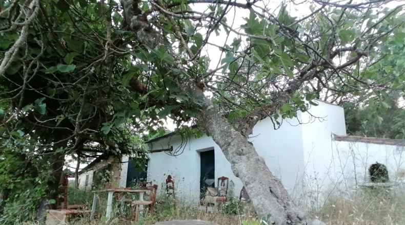 Málaga - Cortes de la Frontera - 12000m2