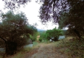 Masia amb terreny en venda a la Camino del rio, Cortes de la Frontera, ref.: TR188969 foto