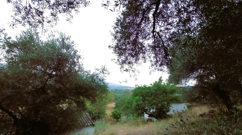 Málaga - Cortes de la Frontera - 12000m2