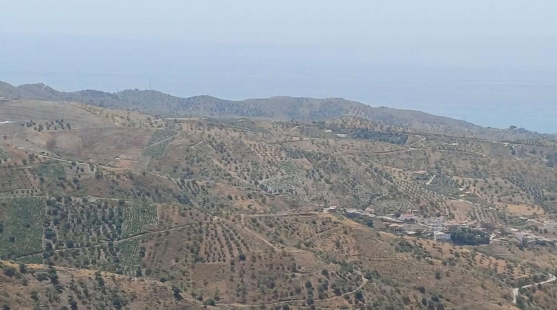 Málaga - Moclinejo - 14390m2