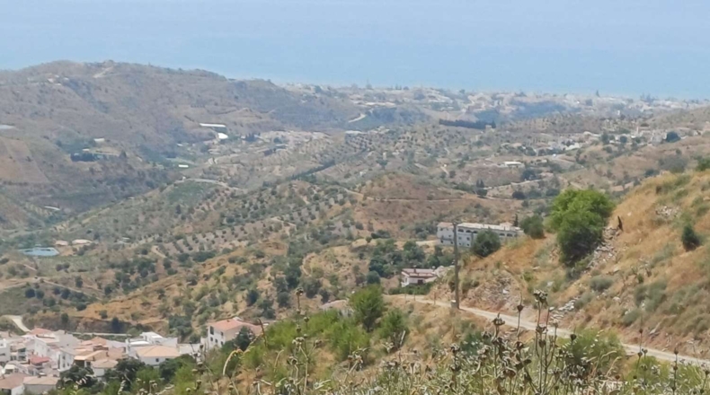 Málaga - Moclinejo - 14390m2
