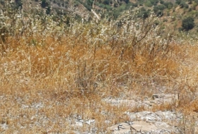 Moclinejo 14390&nbsp;m²