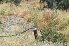 Moclinejo 8000&nbsp;m²