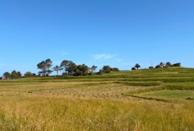 Pechón 2093&nbsp;m²