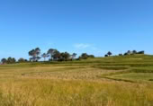 Non-developable land for sale on , Pechón, ref: TR414031 photo
