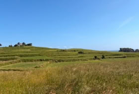 Pechón 2093&nbsp;m²