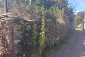 Manzanal de Arriba 949&nbsp;m²
