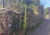 Suelo urbano en venta en la Calle Real, Manzanal de Arriba, ref: TR414194 foto