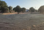 Non-developable land for sale on Camino de los Carmona, Córdoba, ref: TR414197 photo