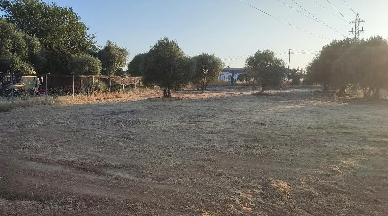 Córdoba - Кордова - 908m2