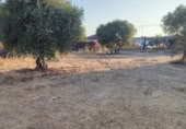 Non-developable land for sale on Camino de los Carmona, Córdoba, ref: TR414197 photo