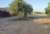 Non-developable land for sale on Camino de los Carmona, Córdoba, ref: TR414197 photo