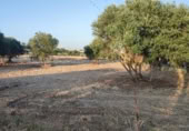 Non-developable land for sale on Camino de los Carmona, Córdoba, ref: TR414197 photo